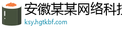 安徽某某网络科技有限责任公司